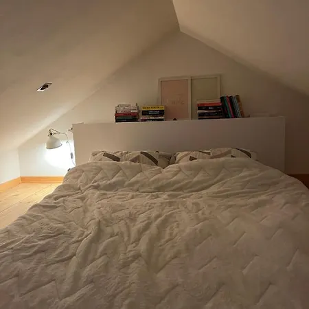 Airport Gate 25 * Ledine