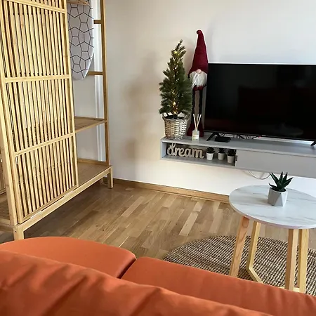 Airport Gate 25 Apartment Ledine