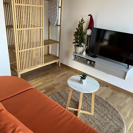 Airport Gate 25 Apartment Ledine